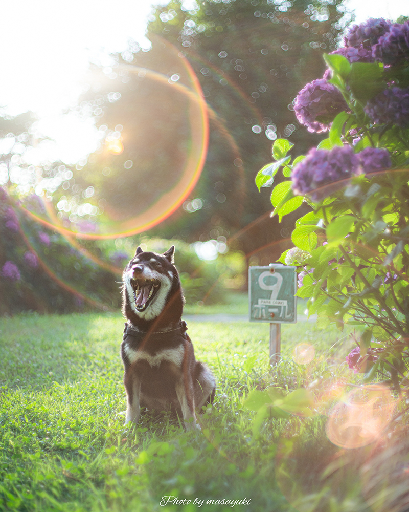和賀川ふれあい広場