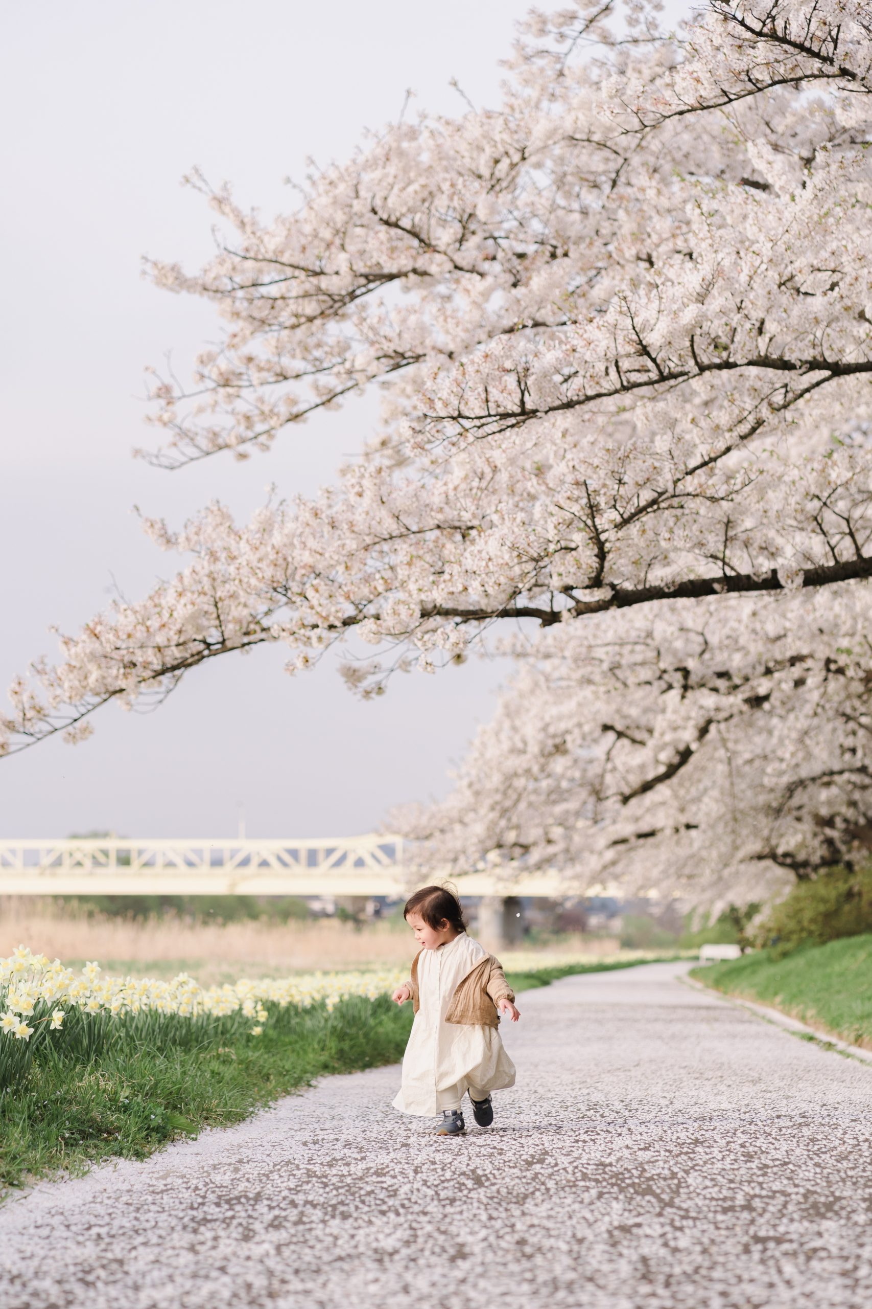 北上市立公園展勝地