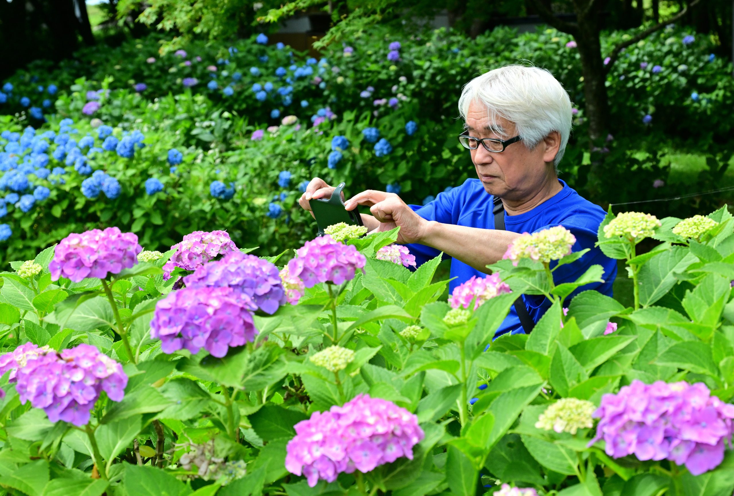 和賀川ふれあい広場