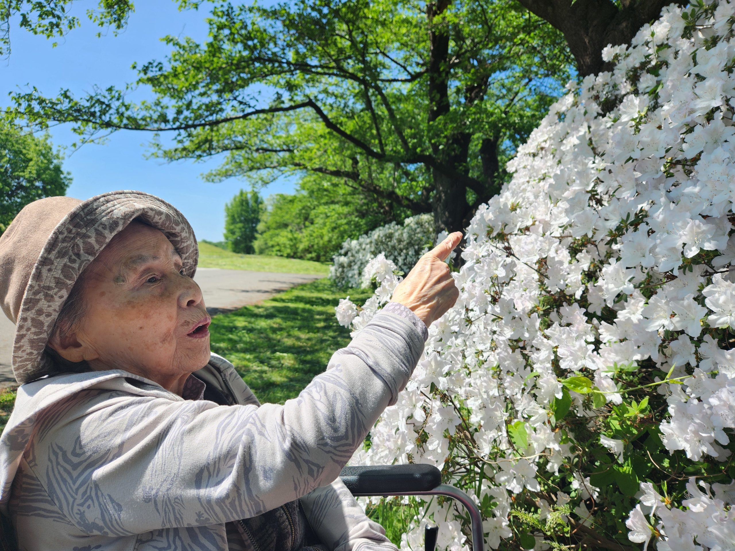 北上市立公園展勝地