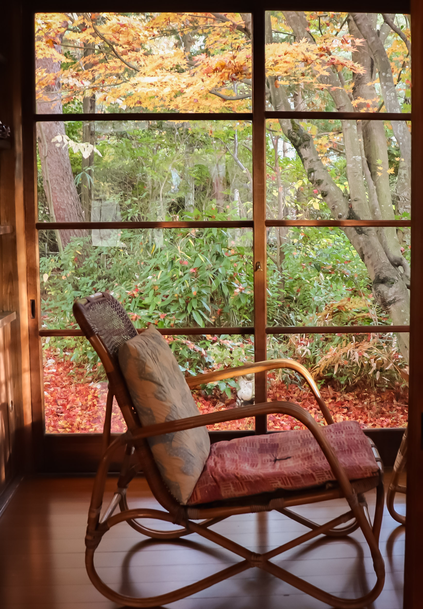 山口青邨宅 三艸書屋（雑草園）