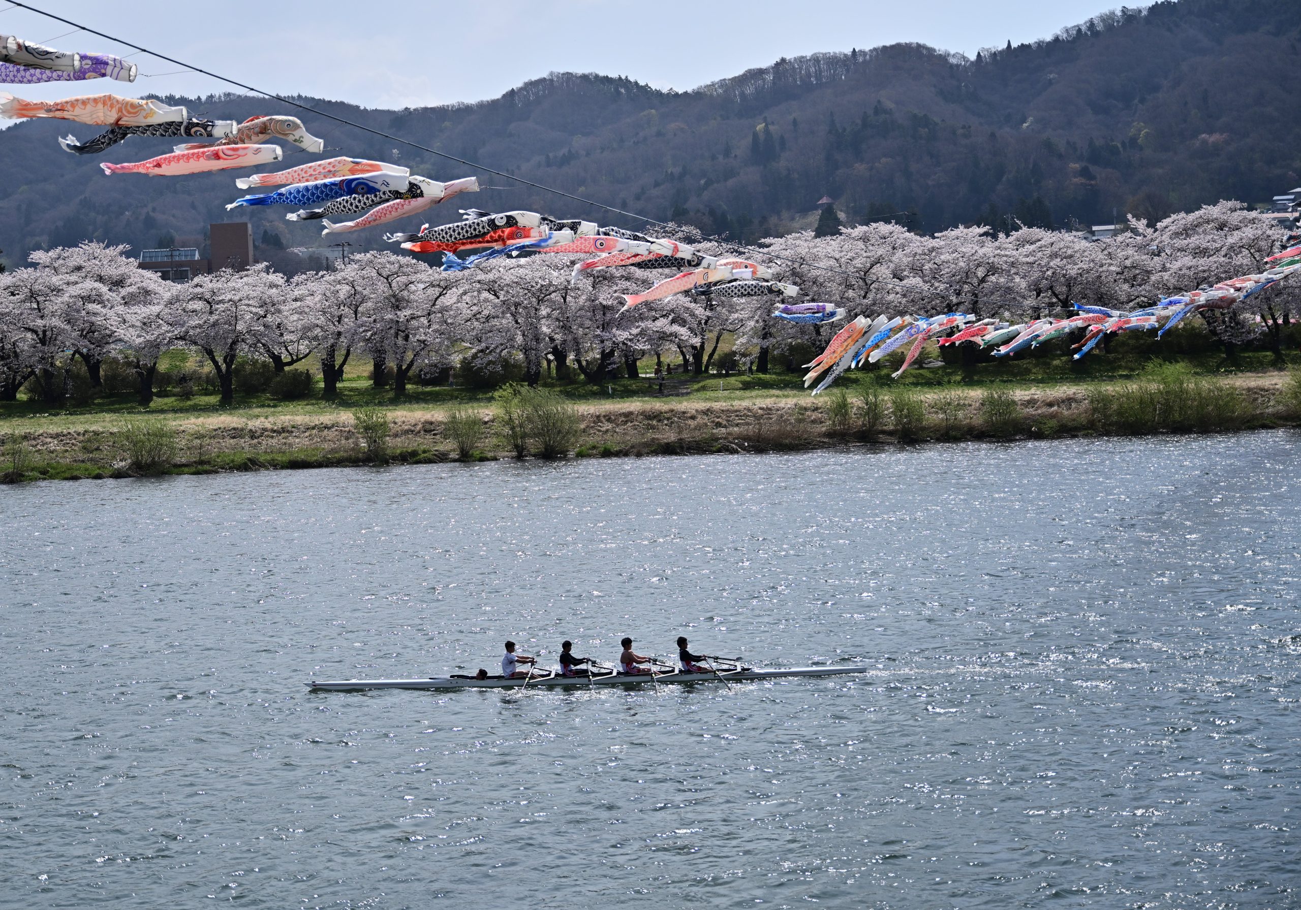北上市立公園展勝地