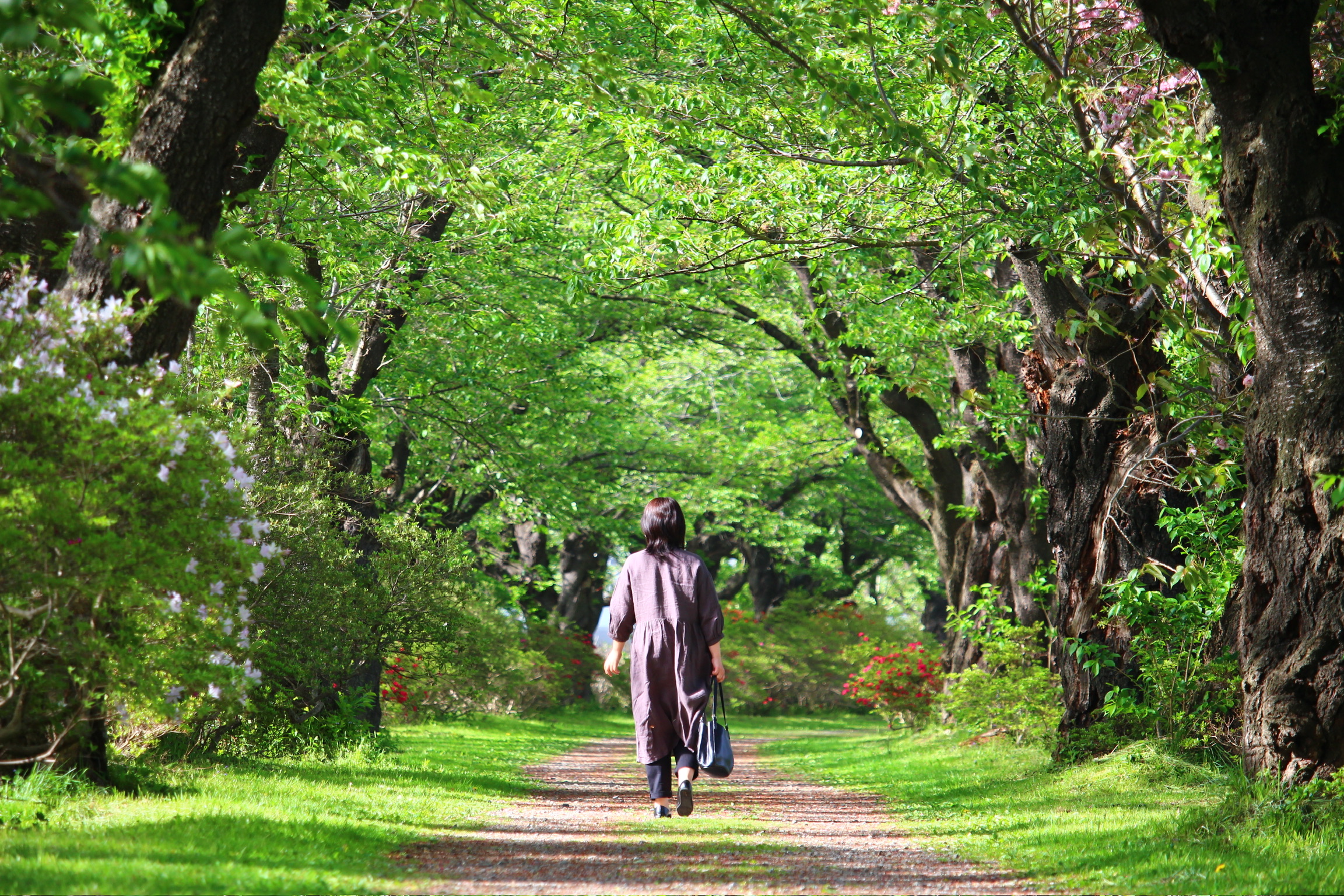 北上市立公園展勝地