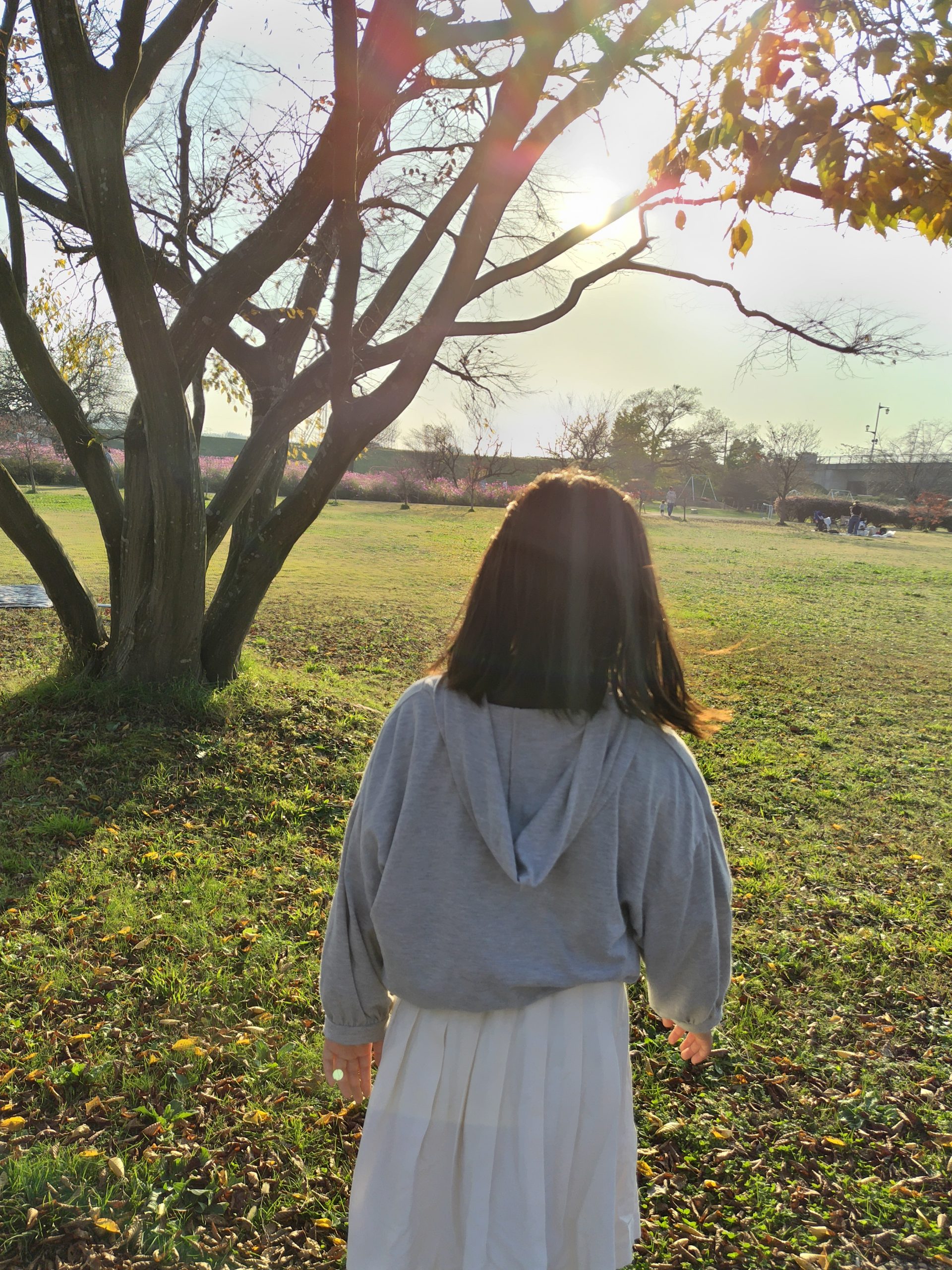 和賀川ふれあい広場