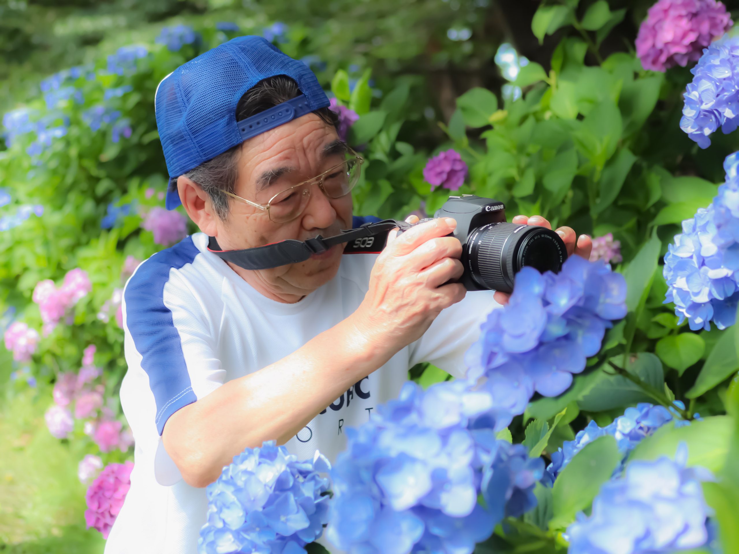 北上市立公園展勝地